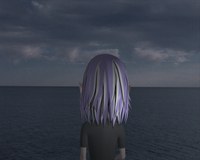 2651-A2.jpg
